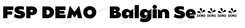 FSP DEMO   Balgin Se字体转换